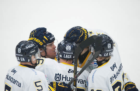 0-3, Mats Trygg, HV71, som grattas
