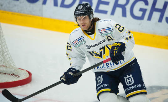 David Petrasek, HV71