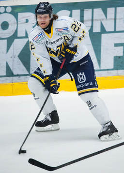 David Petrasek, HV71