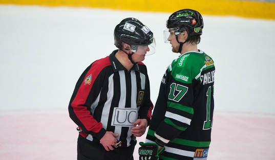 Domaren tillrättavisar Alexander Bonsaken, Rögle
