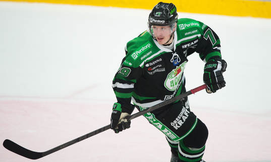 Fredrik Warg, Rögle