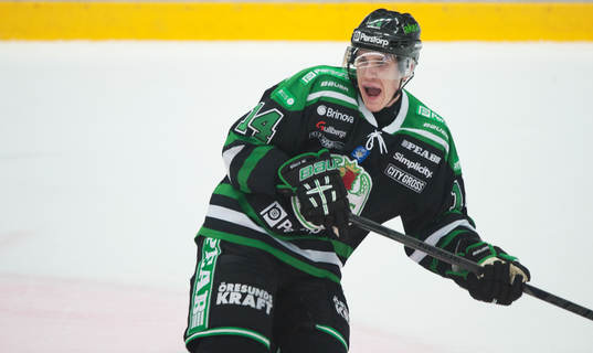 Jesper Jensen, Rögle