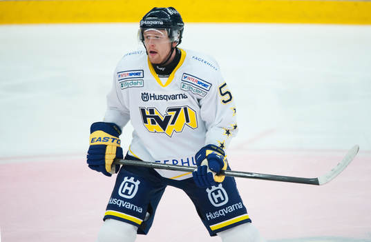 Mikko Luoma, HV71