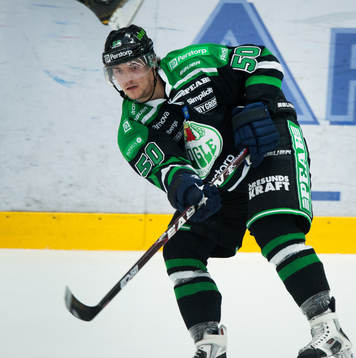 Juhamatti Aaltonen, Rögle