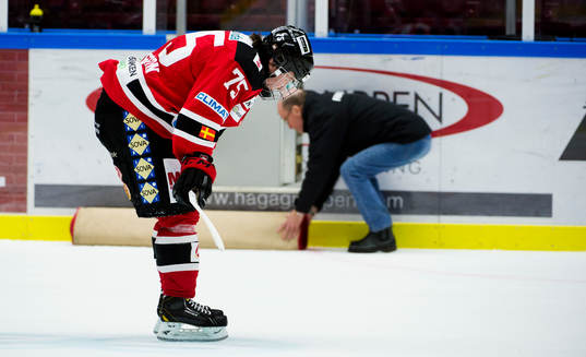 Rasmus Andersson, Malmö Redhawks, deppar