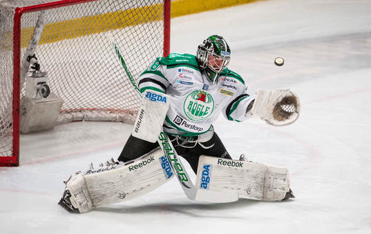 Martin Gerber, målvakt Rögle