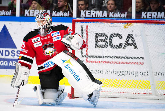 Pontus Sjögren, målvakt, Malmö Redhawks