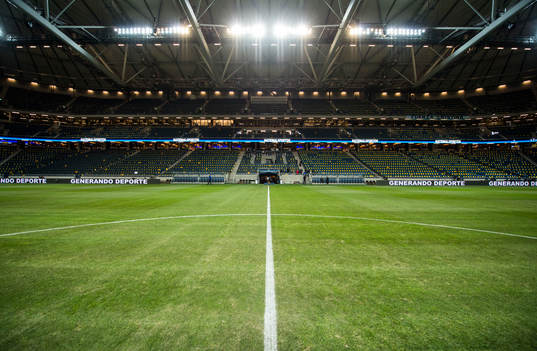 Fotboll, träningslandskamp, Sverige - Argentina