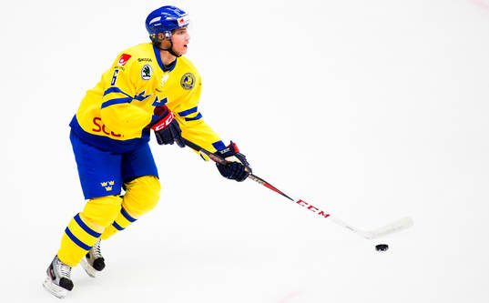 Mattias Bäckman, Sverige
