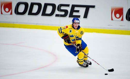 Niclas Burström, Sverige