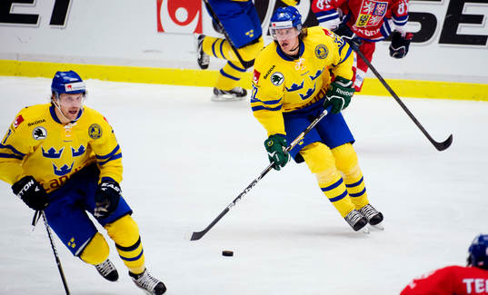 Magnus Nygren, Sverige