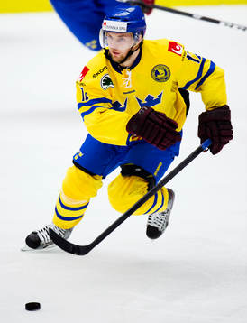 Fredrik Pettersson, Sverige
