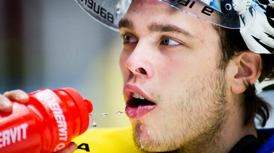 Johan Gustafsson, målvakt, Sverige