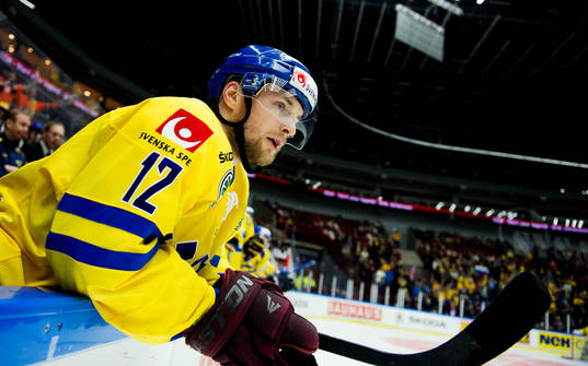 Fredrik Pettersson, Sverige