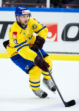 Fredrik Pettersson, Sverige