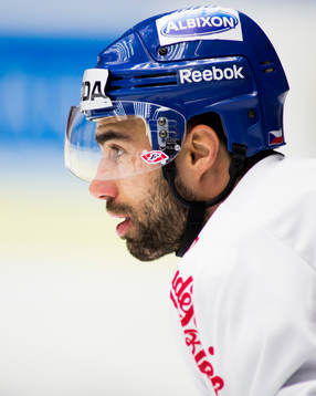 Zbynek Irgl, Tjeckien