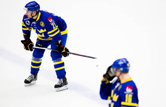 Tomas Skogs, Tobias Viklund, Sverige, deppar