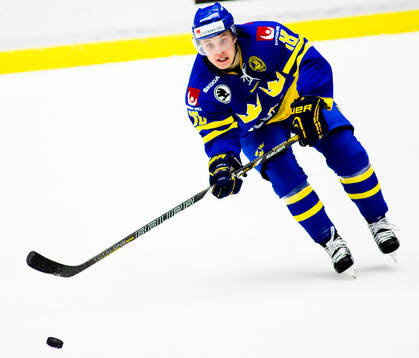 Jesper Fasth, Sverige