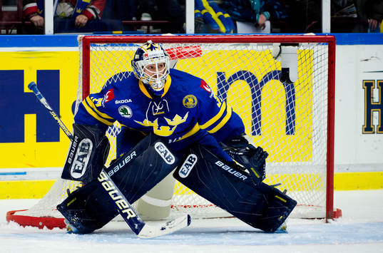 Gustaf Wesslau, målvkat, Sverige