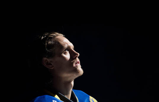 Magnus Nygren, Sverige