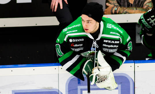 Ludvig Engsund, målvakt, Rögle
