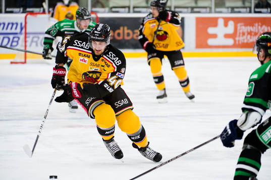 Sami Sandell, Luleå