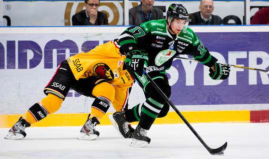 Victor Panelin Borg, Rögle