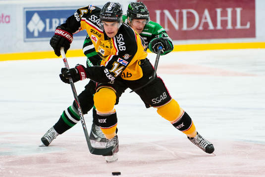 Karl Fabricius, Luleå, Fredrik Warg, Rögle