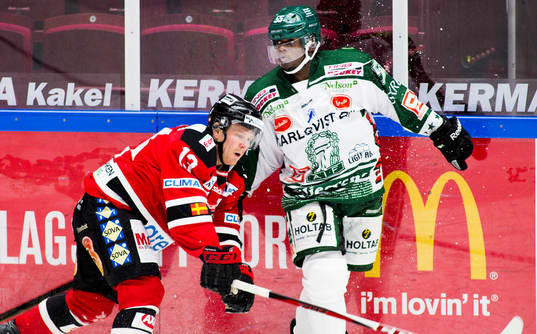 Eric Persson, Tingsryd, Sebastian Meijer, Malmö Redhawks