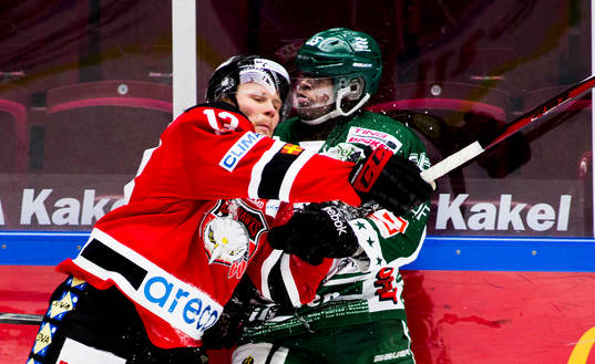 Eric Persson, Tingsryd, Sebastian Meijer, Malmö Redhawks
