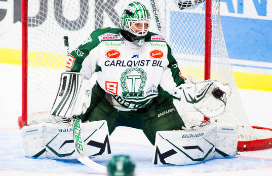 Michal Zajkowski, målvakt, Tingsryd