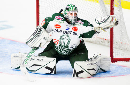 Michal Zajkowski, målvakt, Troja Ljungby