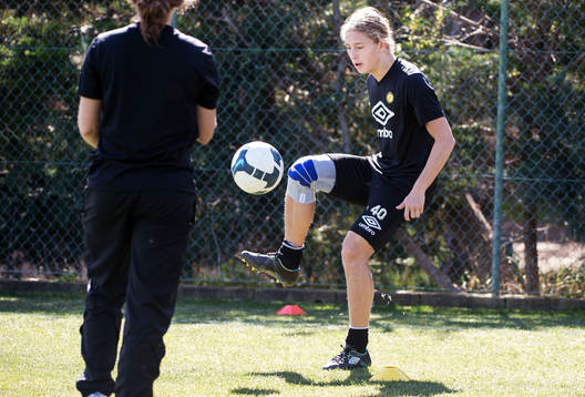 Anton Andreasson, Elfsborg
