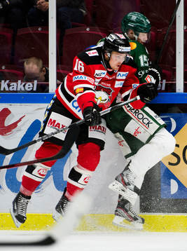 Magnus Häggström, Malmö Redhawks, David Laudius, Tingsryd