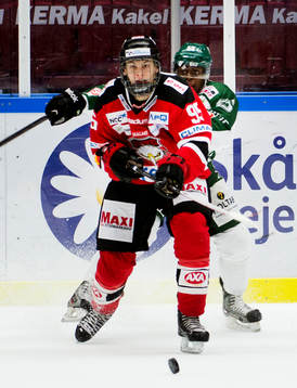 Andre Burakovsky, Malmö Redhawks, Eric Persson, Tingsryd