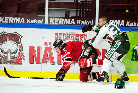 Johan Björk, Malmö Redhawks, Thomas Goebel, Tingsryd