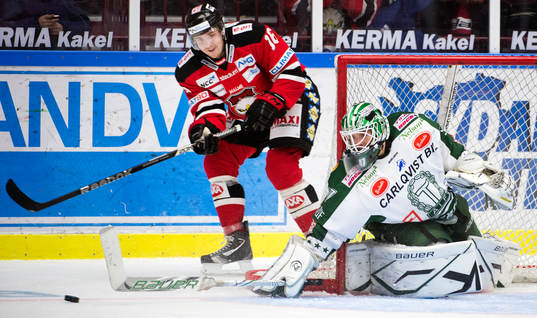 Magnus Häggström, Malmö Redhawks, Michal Zajkowski,