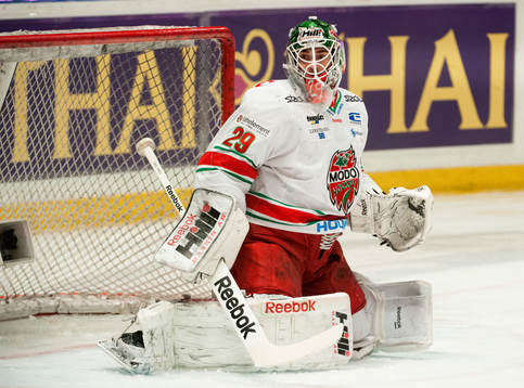 Bernhard Starkbaum, målvakt, Modo