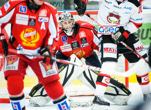 Bläddra bland fler bilder av Ishockey, Allsvenskan, Almtuna - Malmö
