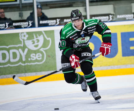 Ziga Pavlin, Rögle