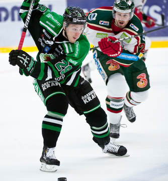 Alexander Barta, Rögle