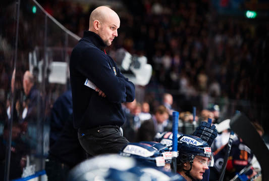 Tony Zabel, tränare Djurgården