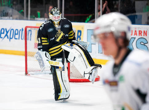 Daniel Larsson, Målvakt, AIK jublar