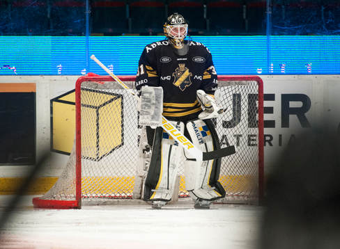 Daniel Larsson, Målvakt, AIK