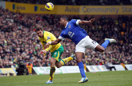Football - Norwich City v Everton - Barclays Premier League