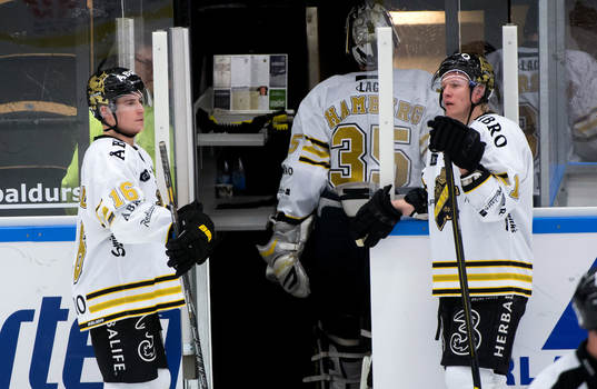 Tobias Viklund och Esa Pirnes, AIK, funderar över