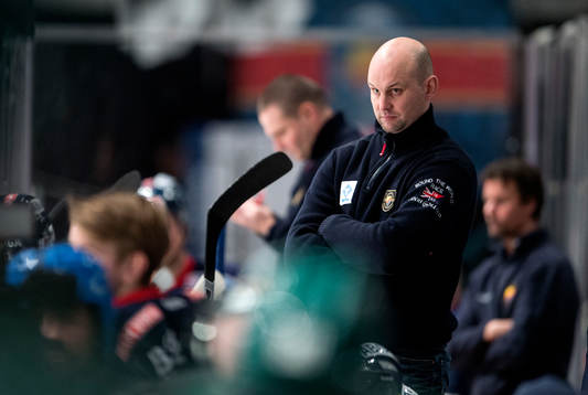 Tony Zabel, tränare Djurgården