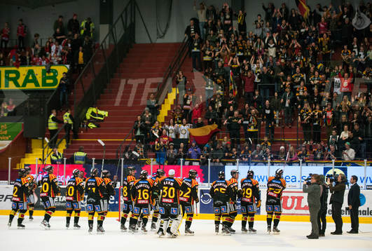 Brynäs-spelarna och publiken jublar