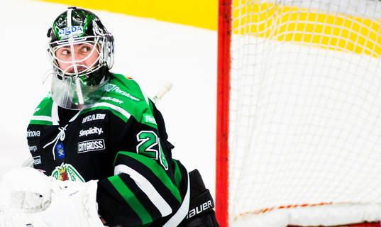 Martin Gerber, målvakt, Rögle