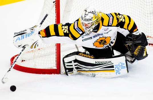 Markus Svensson, målvakt, Skellefteå